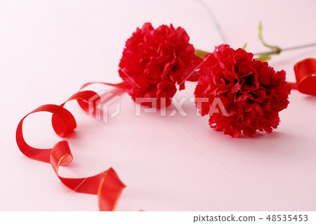 Mother's Day  48535453