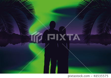 couple in love enjoys the view of the polar lights on the beach 48535575
