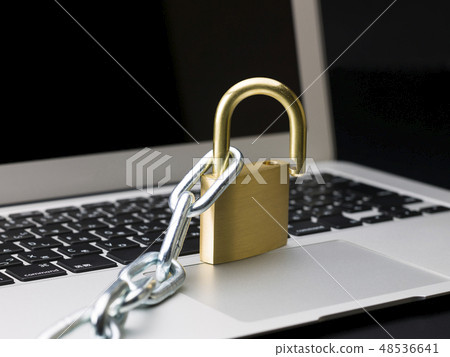 PC security image (unlock) PC security image (unlock) 48536641