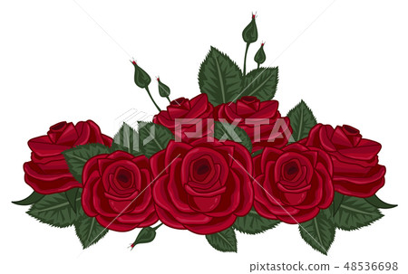 red roses vector illustration on white red roses vector illustration on white 48536698