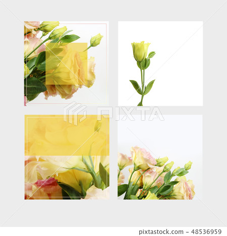 Beautiful Spring Flower Banner & Frame, Sale, Invitation Background Beautiful Spring Flower Banner & Frame, Sale, Invitation Background 48536959