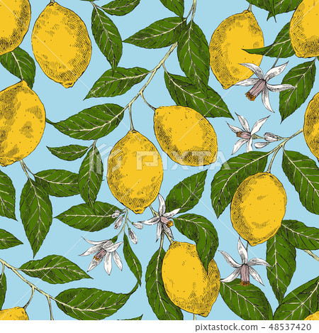 Lemons hand drawn vector seamless retro pattern - Stock Illustration ...