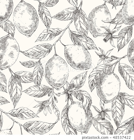 Lemons hand drawn vector seamless sketch pattern - Stock Illustration ...