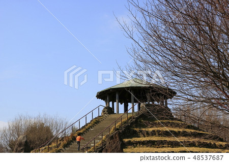 四季森林公園春天 48537687