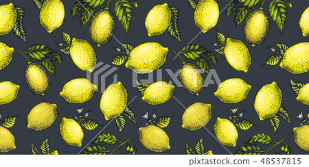 Lemon seamless pattern. Engraved style. Lemon seamless pattern. Engraved style. 48537815