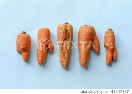 Double shaped and cracked carrots Double shaped and cracked carrots 48537897