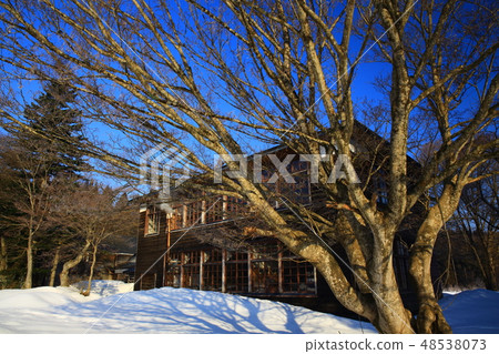 Lagoon branch of memories of winter Lagoon branch of memories of winter 48538073