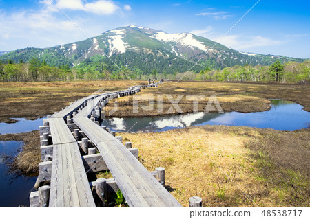 反映在樹路和池塘的佛山 48538717