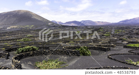 The Wine Valley of La Geria - Lanzarote, Spain The Wine Valley of La Geria - Lanzarote, Spain 48538793