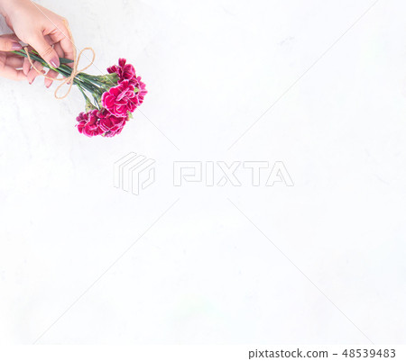 Mother's Day Yasuno Kaoru Sendoku Karen Top View Mother's Day carnation thanks Mother's Day Yasuno Kaoru Sendoku Karen Top View Mother's Day carnation thanks 48539483