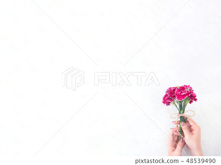 Mother's Day Yasuno Kaoru Sendoku Karen Top View Mother's Day carnation thanks Mother's Day Yasuno Kaoru Sendoku Karen Top View Mother's Day carnation thanks 48539490