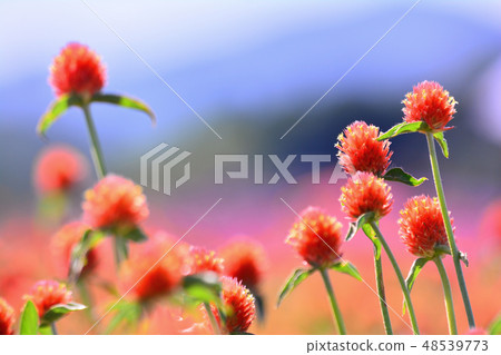 令人嘆為觀止的美麗天空 48539773