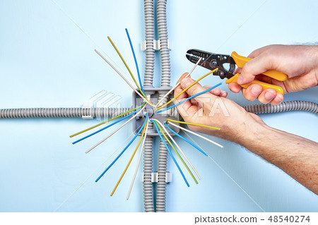 Electrician strips wire use wire stripper. 48540274