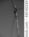 電線單色3 48540289