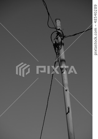 電線單色3 電線單色3 48540289