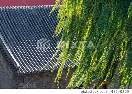 紫禁城故宮博物院 中国北京観光スポット Forbidden City 世界五大博物館 48540299