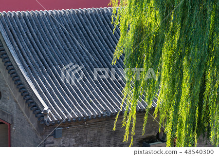 紫禁城故宮博物院 中国北京観光スポット Forbidden City 世界五大博物館 紫禁城故宮博物院 中国北京観光スポット Forbidden City 世界五大博物館 48540300