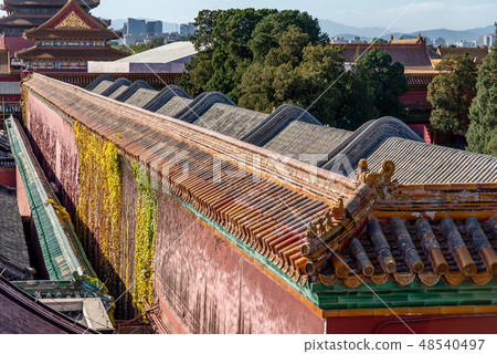 Forbidden City Palace Museum Beijing, China Fortunate City Forbidden City Forbidden City Palace Museum Beijing, China Fortunate City Forbidden City 48540497