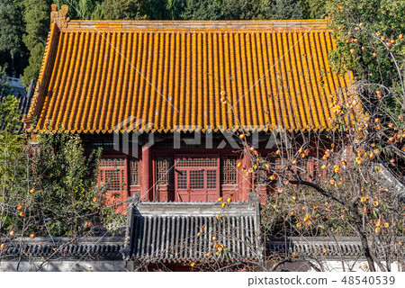 紫禁城故宮博物院 中国北京観光スポット Forbidden City 世界五大博物館 紫禁城故宮博物院 中国北京観光スポット Forbidden City 世界五大博物館 48540539