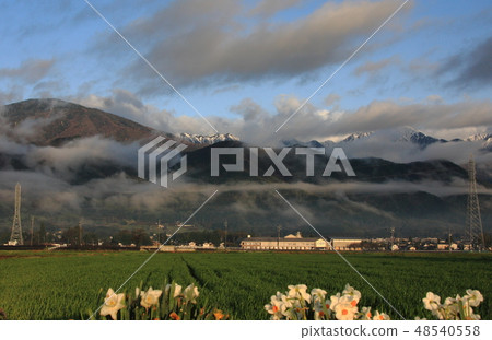 安曇野的早晨 48540558