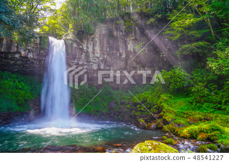 Wanjo Falls Izu 48541227