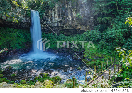Wanjo Falls Izu 48541228