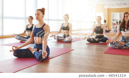 group of people engaged in yoga class meditate group of people engaged in yoga class meditate 48541314