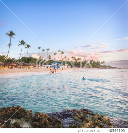 Vacation in Dominican Republic Vacation in Dominican Republic 48542103