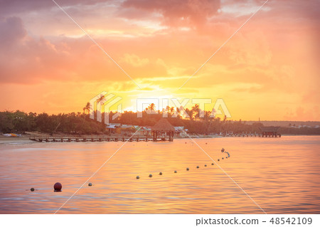 Vacation in Dominican Republic 48542109