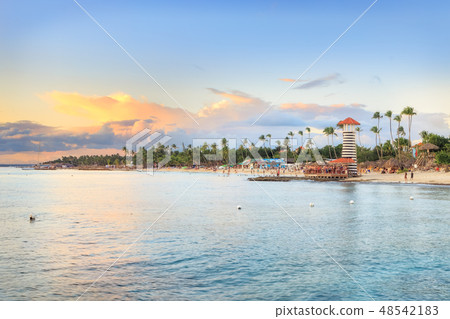 Vacation in Dominican Republic Vacation in Dominican Republic 48542183