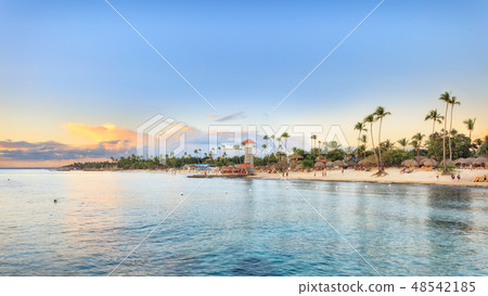 Vacation in Dominican Republic Vacation in Dominican Republic 48542185