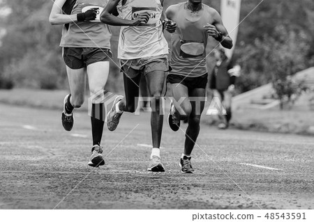 leading group of athletes runners 48543591
