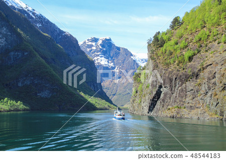 渡輪在挪威峽灣巡航 48544183