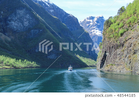 渡輪在挪威峽灣巡航 48544185