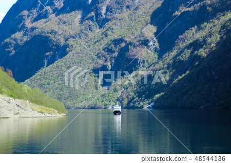 渡輪在挪威峽灣巡航 48544186