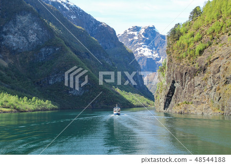 渡輪在挪威峽灣巡航 48544188