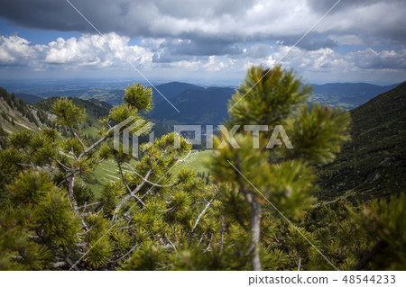 Mountain panorama view of Brecherspitze, Bavaria 48544233
