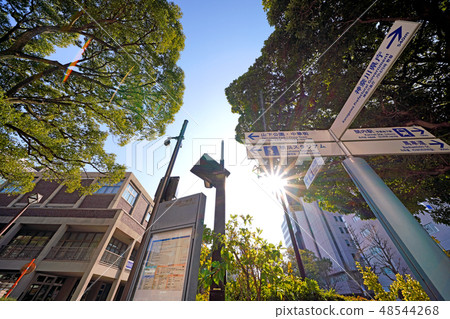 橫濱市景觀在日本橫濱市政廳,標誌(山下公園·唐人街,橫濱體育場......)等 橫濱市景觀在日本橫濱市政廳,標誌(山下公園·唐人街,橫濱體育場......)等 48544268