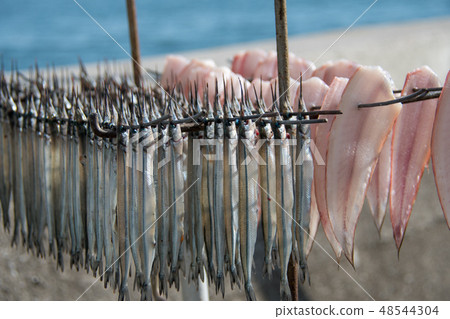 Sayori's heaven sunrise Sayori's heaven sunrise 48544304