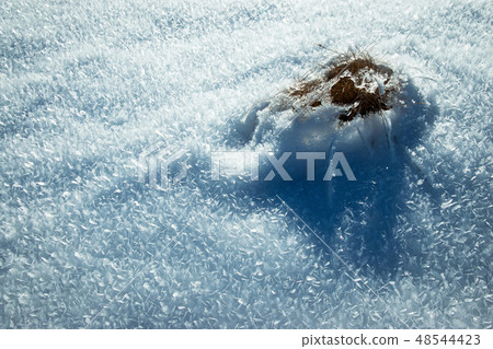 frozen flakes of snow 48544423