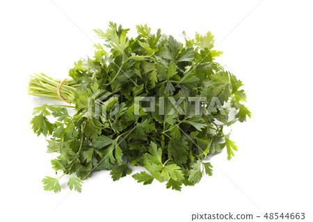 Bunch of parsley 48544663