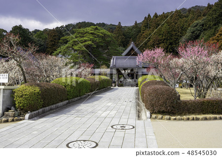 山口山口市Rurikoji塔門 山口山口市Rurikoji塔門 48545030