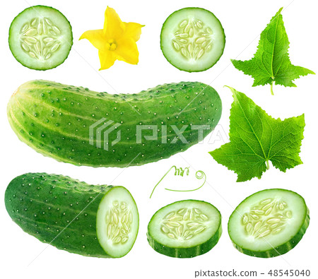 Isolated cucumber collection 48545040
