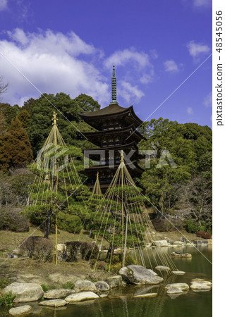 Yamaguchi Yamaguchi City Rurikoji Temple five stories 48545056