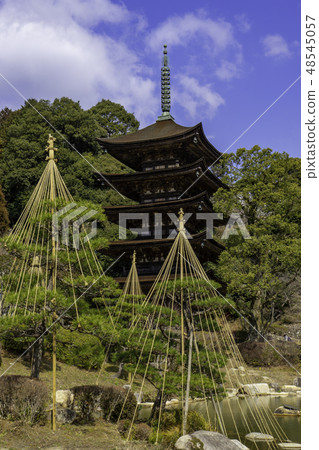 Yamaguchi Yamaguchi City Rurikoji Temple five stories 48545057