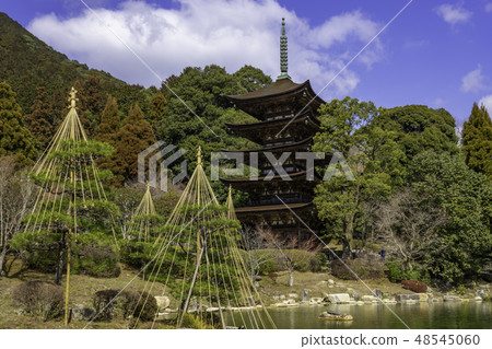 Yamaguchi Yamaguchi City Rurikoji Temple five stories 48545060