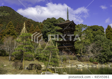 山口山口市Rurikoji寺五層樓 48545061