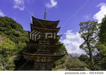 Yamaguchi Yamaguchi City Rurikoji Temple five stories 48545084