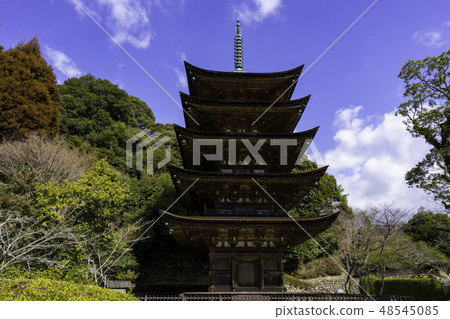 Yamaguchi Yamaguchi City Rurikoji Temple five stories 48545085