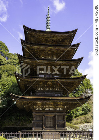 Yamaguchi Yamaguchi City Rurikoji Temple five stories Yamaguchi Yamaguchi City Rurikoji Temple five stories 48545086